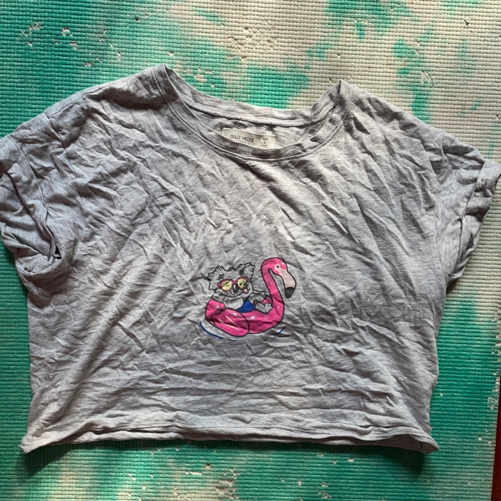 Gilly  Hicks crop top